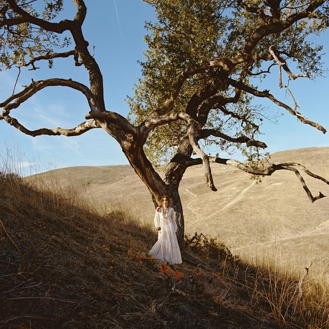 Album cover art for Marigolds by Andrea Bejar