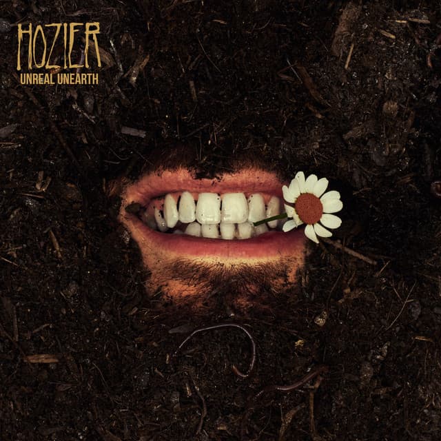 Album cover art for Damage Gets Done (feat. Brandi Carlile) by Hozier, Brandi Carlile