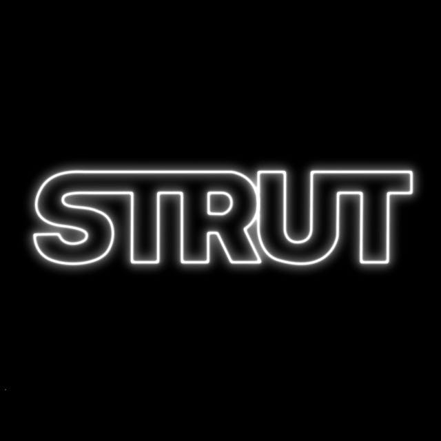 Album cover art for Strut by Elohim, Big Freedia