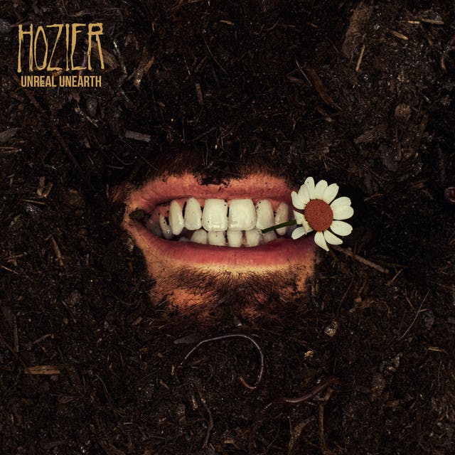 Album cover art for Anything But by Hozier